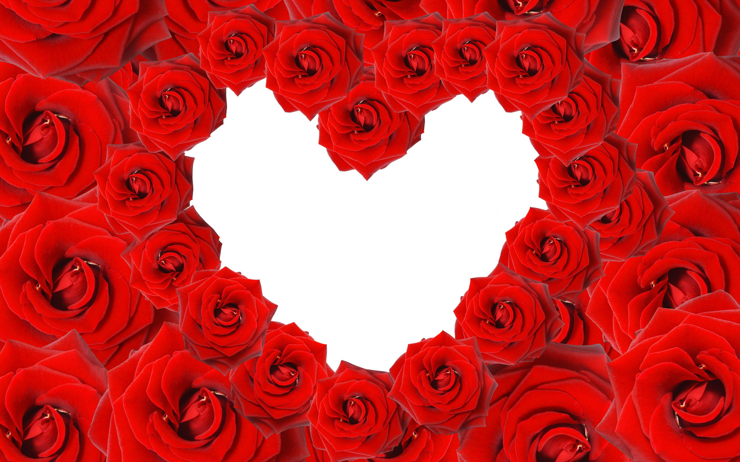 2012 Mother's day beautiful flower - heart rose Wallpapers - HD