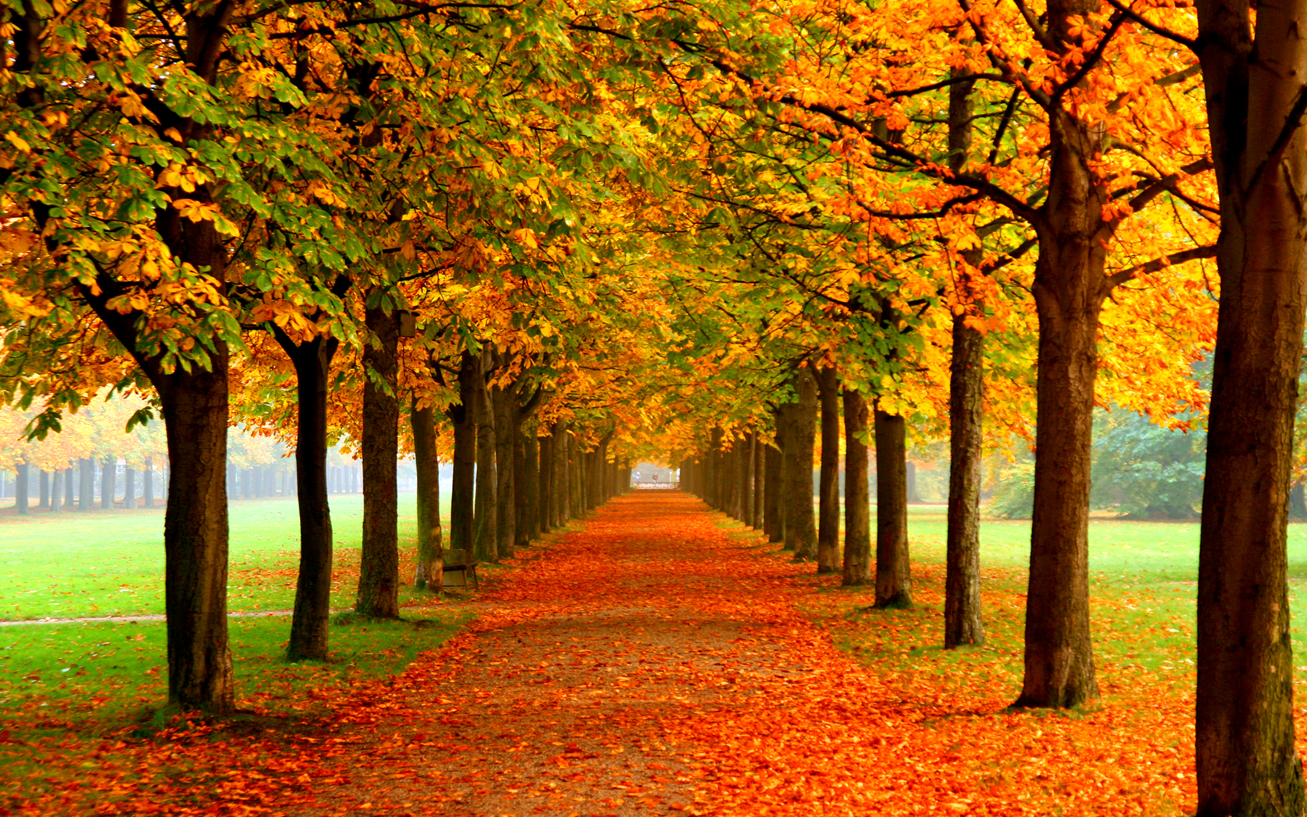 Autumn Free Wallpaper - Autumn Colors Wallpapers - HD Wallpapers 93076