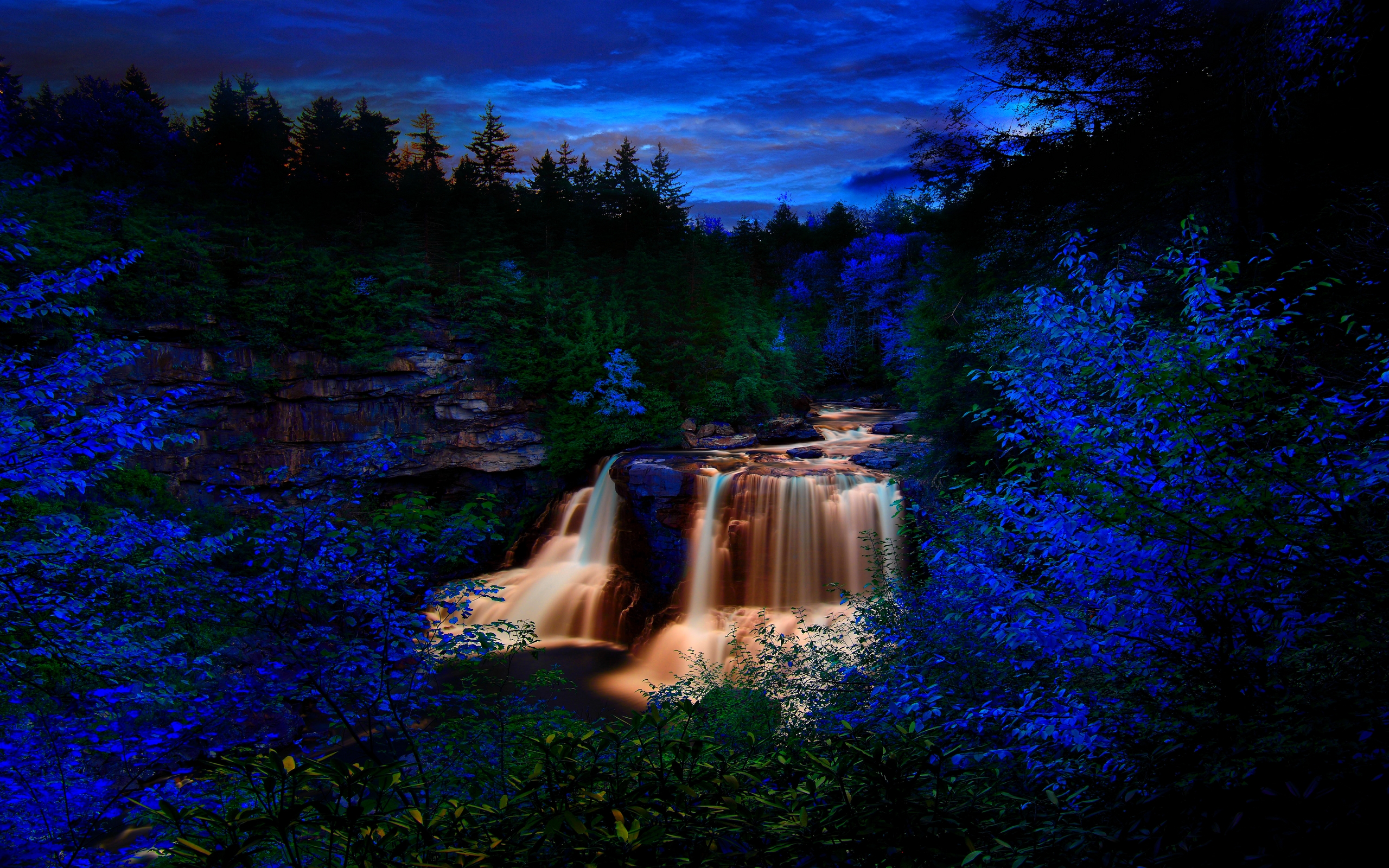Free Waterfalls Wallpaper Dream Forest Falls Wallpapers Hd
