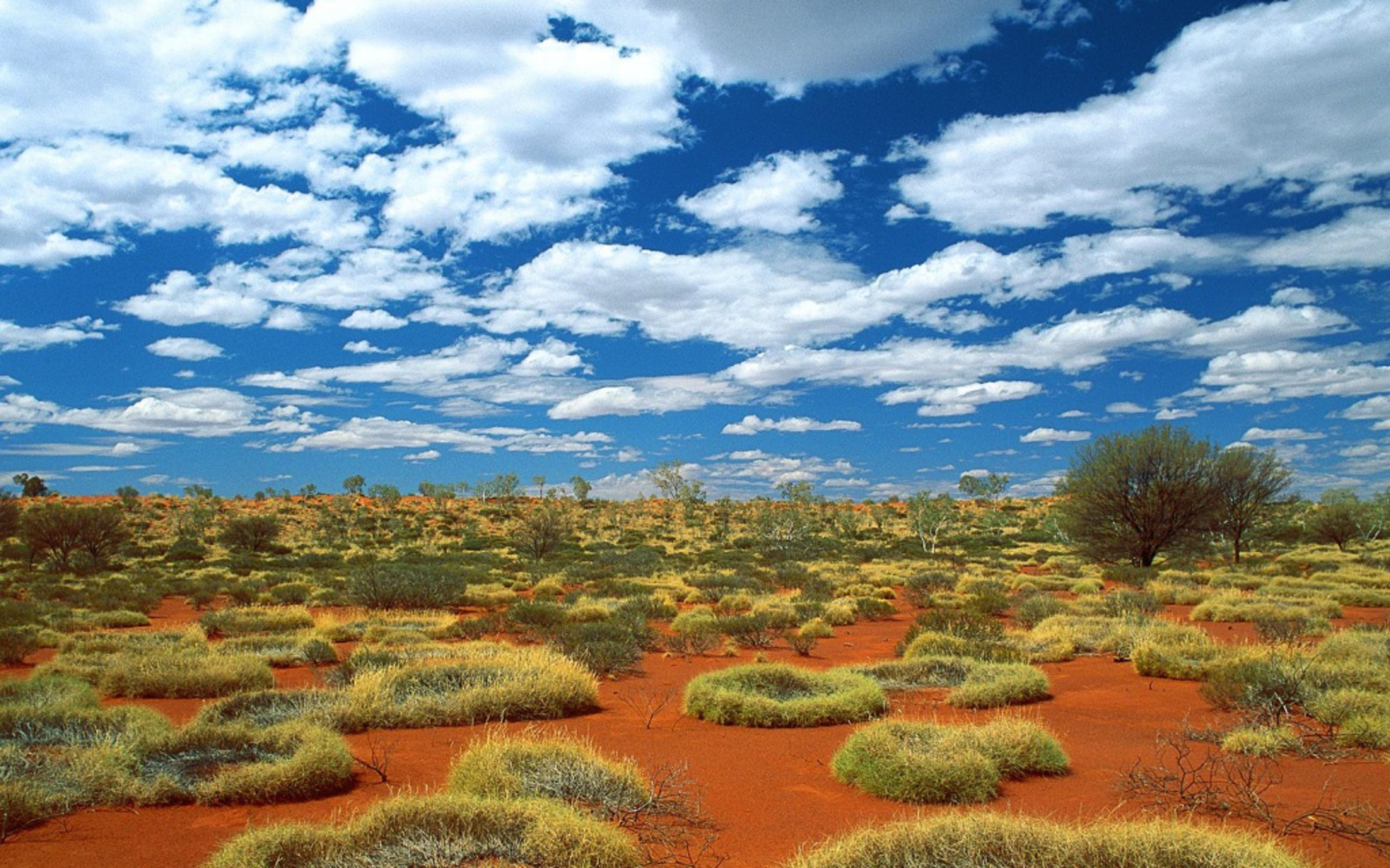 dream-summer-2012-great-sandy-desert-wallpapers-hd-wallpapers-96470