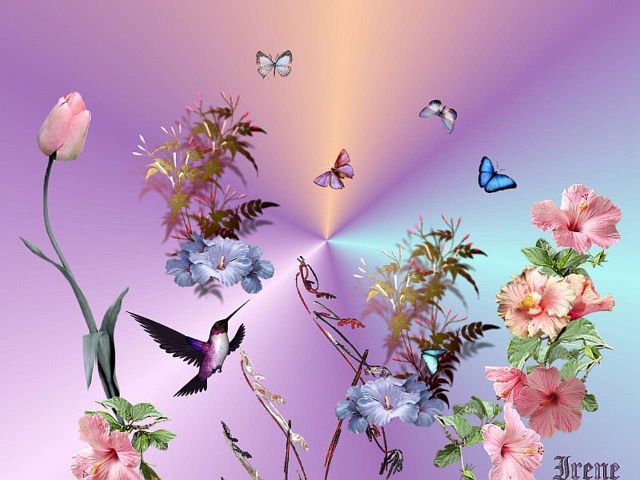 Цветы душа поет. Бабочка на цветке. Открытка бабочка. Красивые открытки с бабочками.